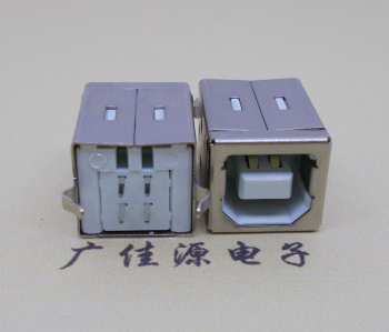 内江USB BF180度母座 打印机接口 立式直插带赛